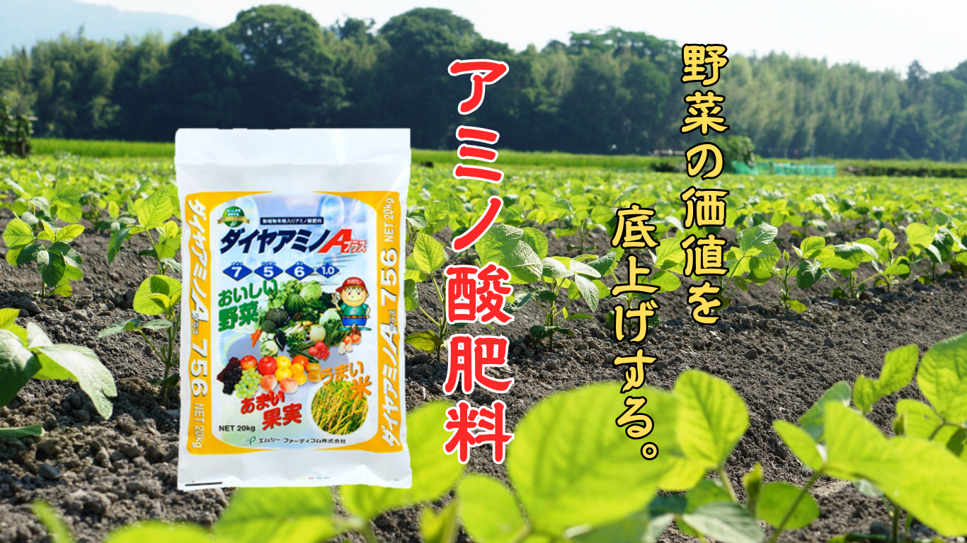 ダイヤアミノの紹介