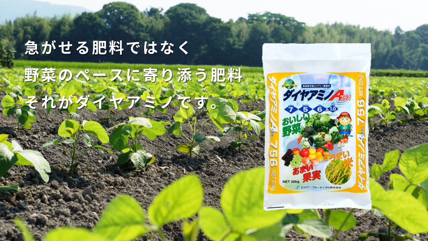 野菜のぺーズに寄り添う肥料ダイヤアミノ