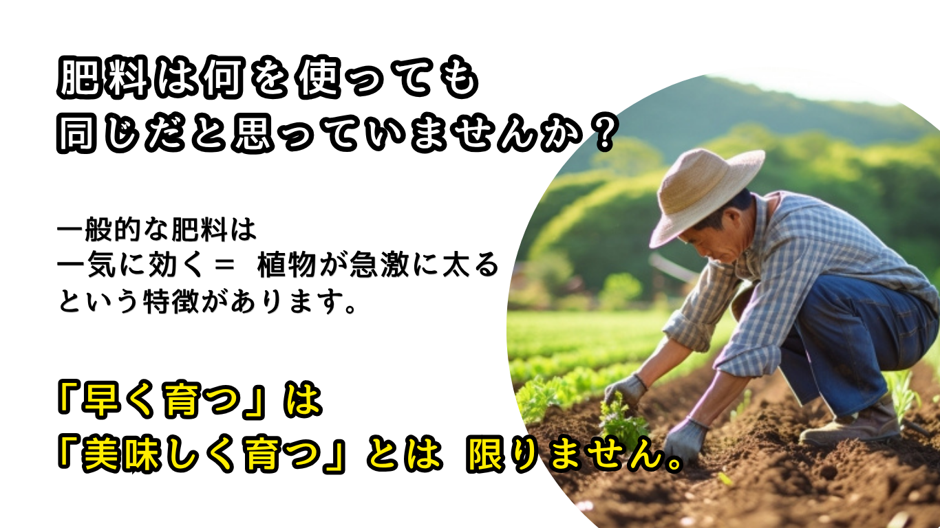 肥料は何を使っても同じだと思っていませんか