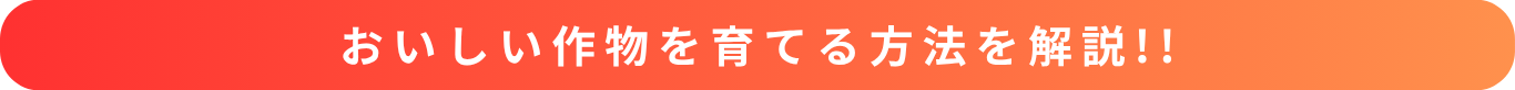 おいしい作物を育てる栽培方法を解説
